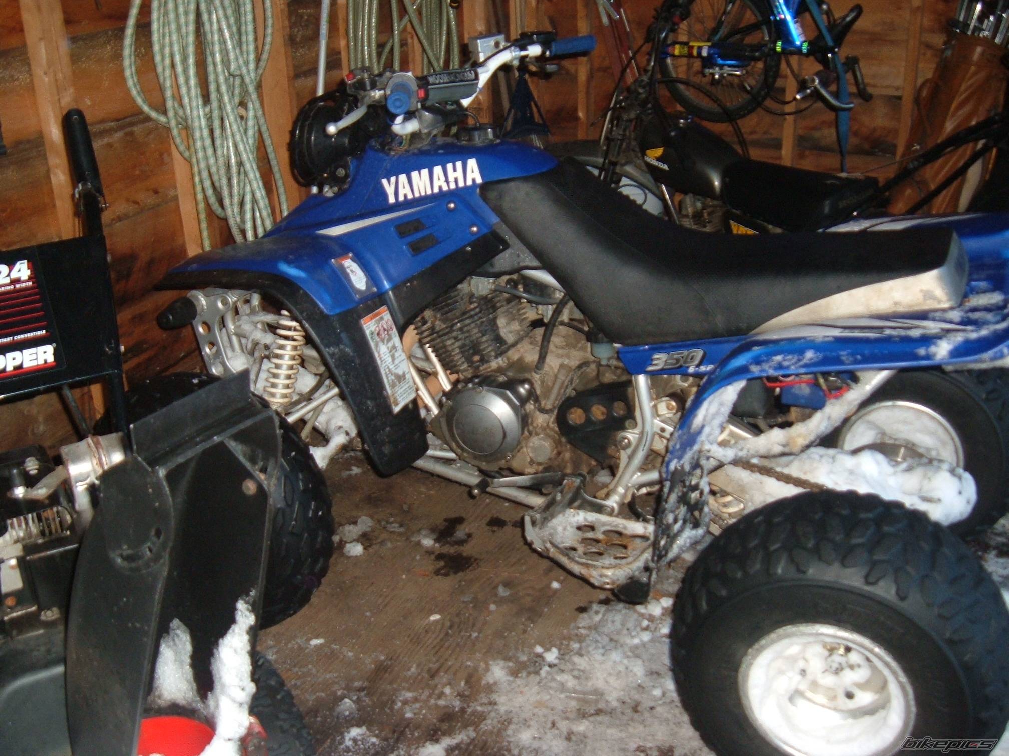 Photo 489492