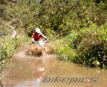 Bike Photo 48959