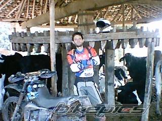 Photo 48966
