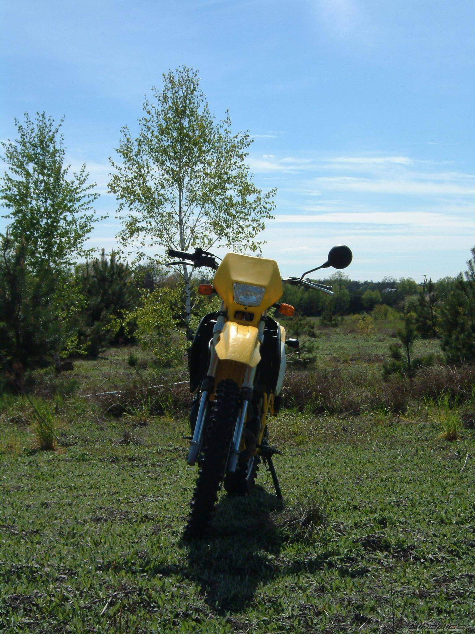 Photo 489779