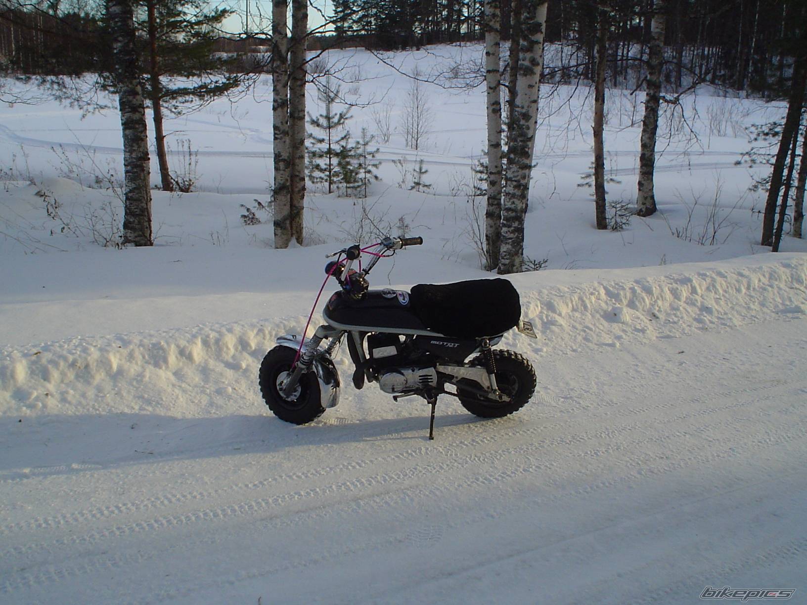 Photo 489933