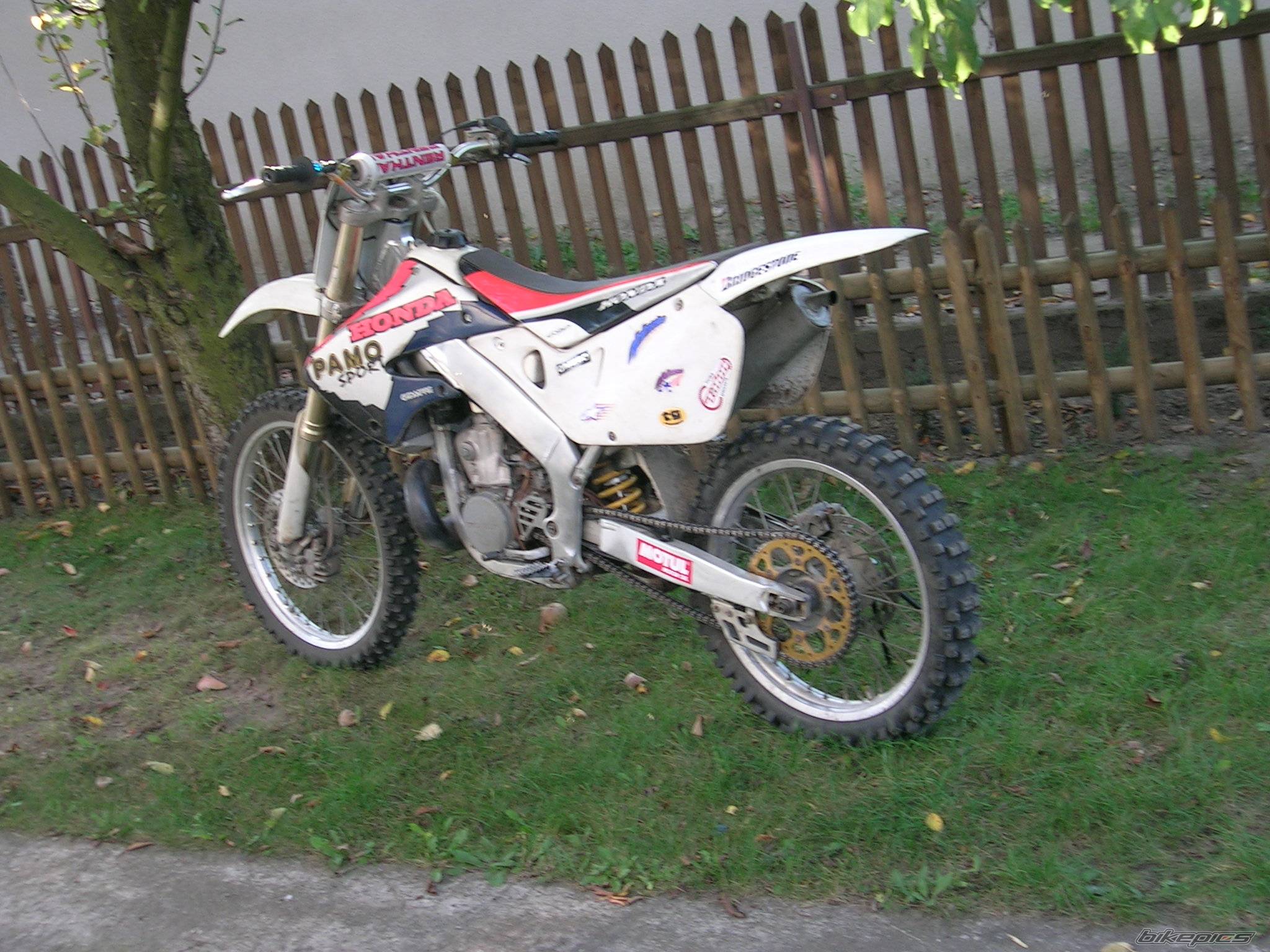 Photo 490043