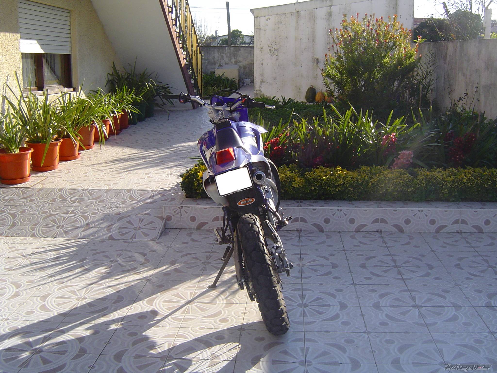 Photo 490050