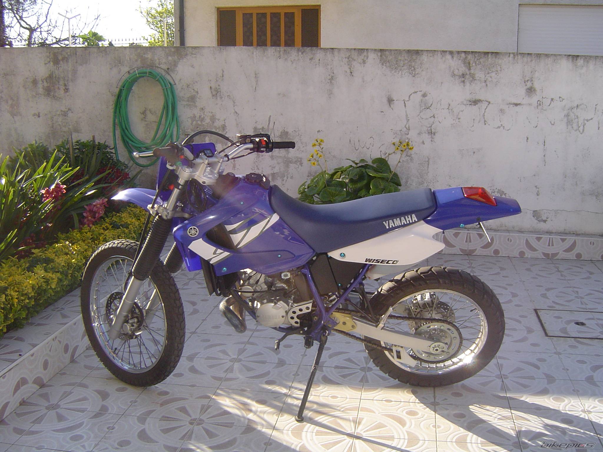 Photo 490069