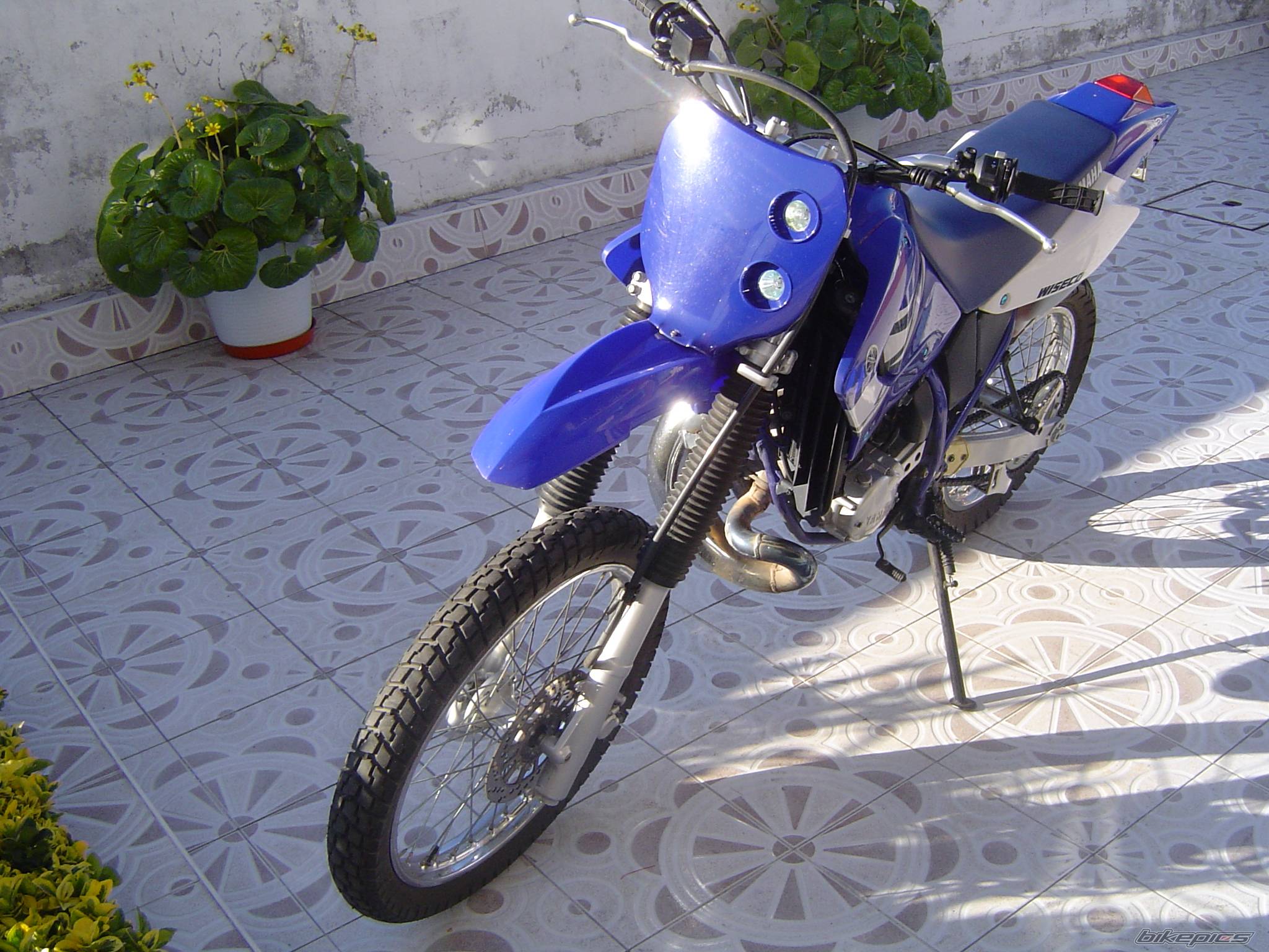 Photo 490073