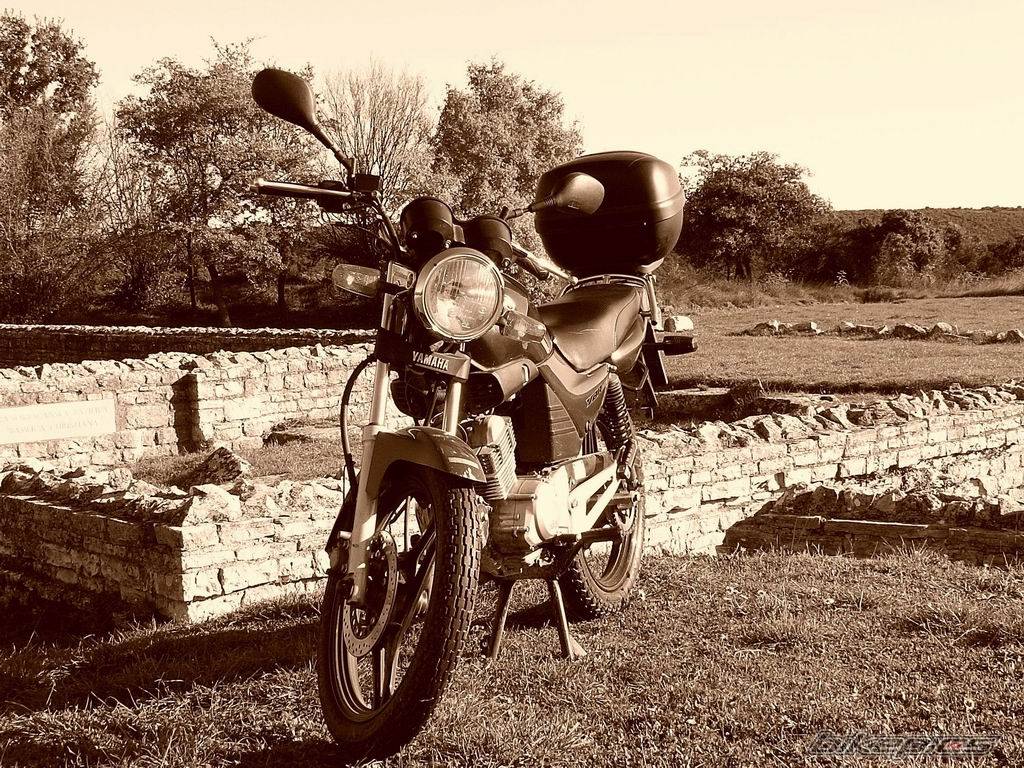 Bike Photo 490119