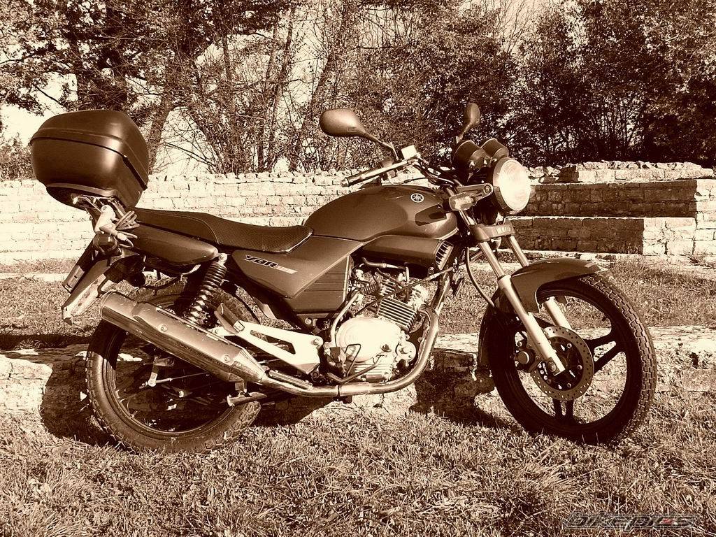 Bike Photo 490121