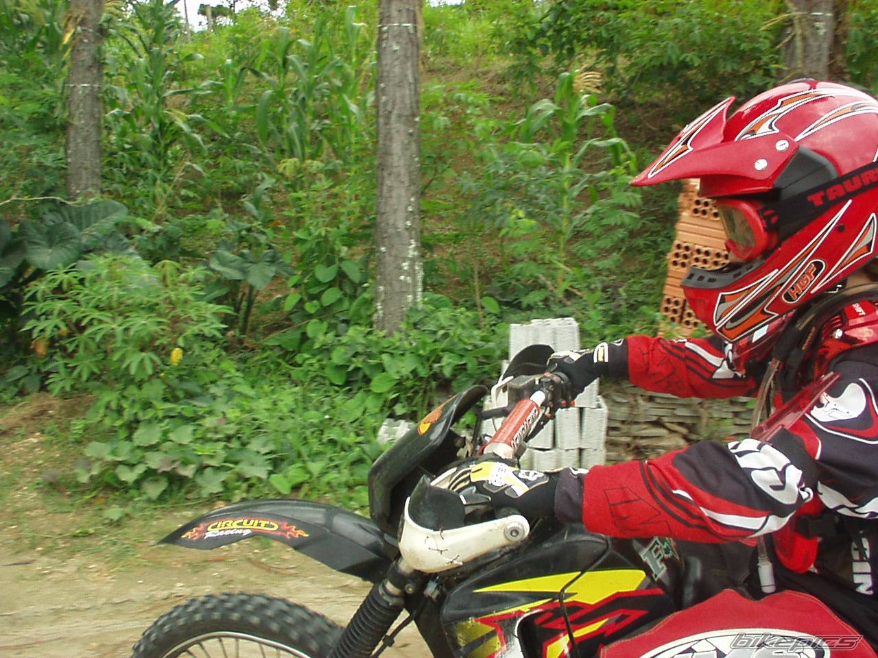 Bike Photo 490174
