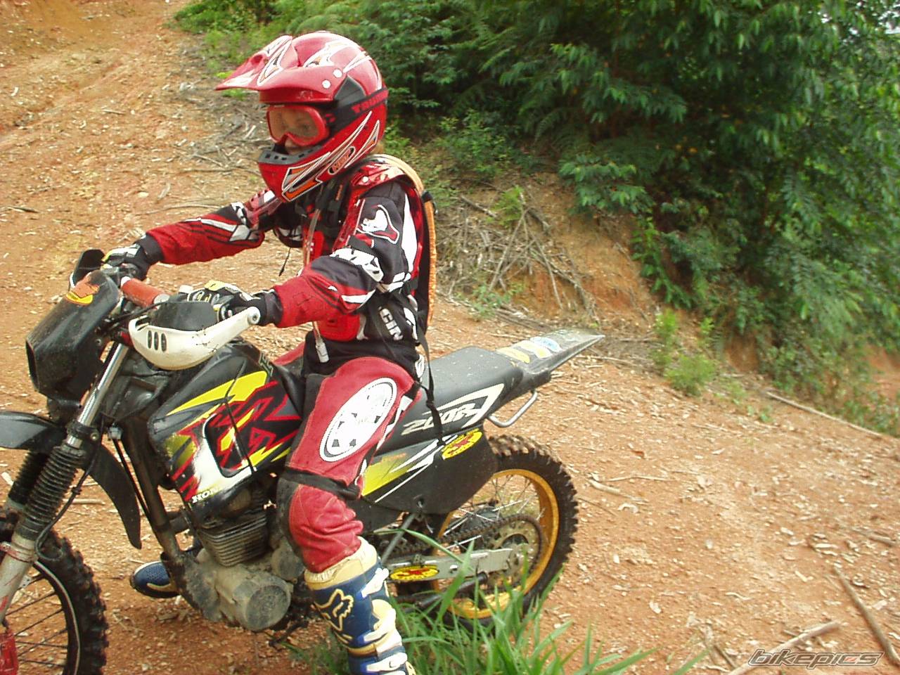 Bike Photo 490181