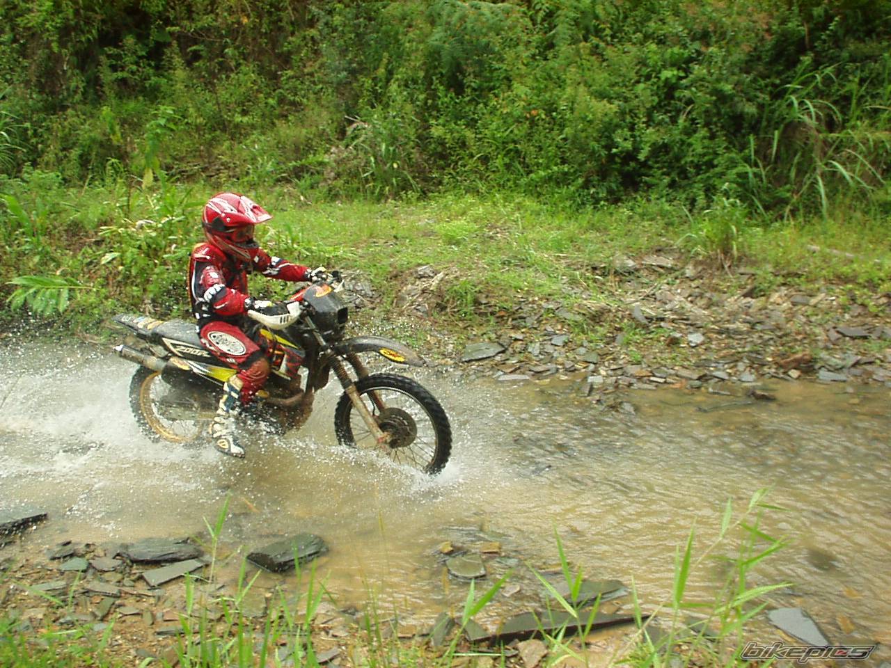 Bike Photo 490188