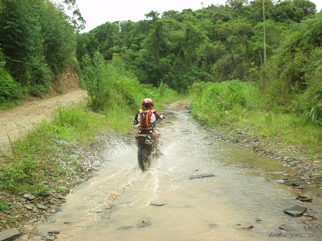 Bike Photo 490190