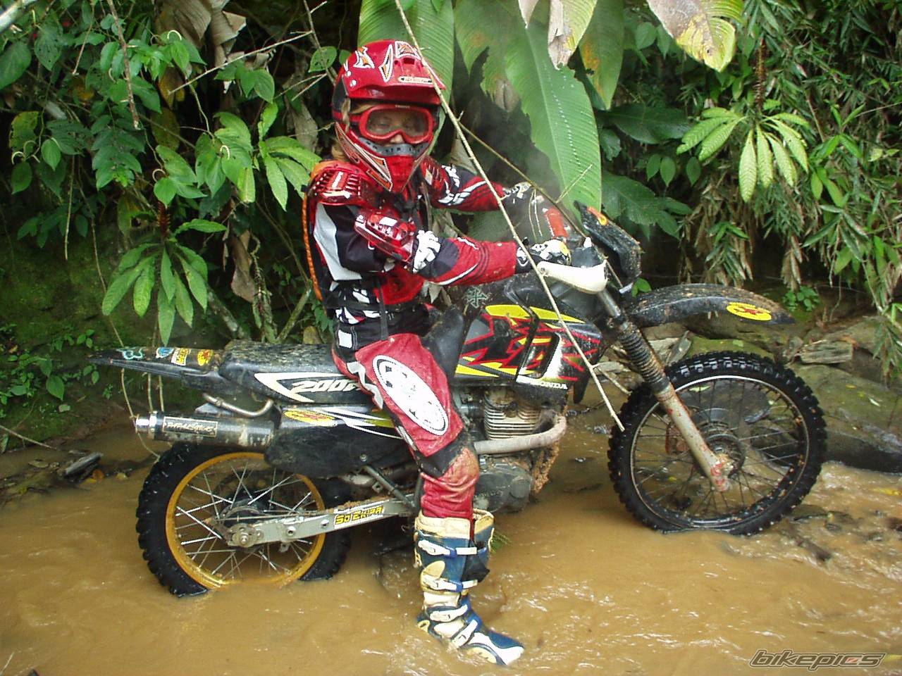 Bike Photo 490192