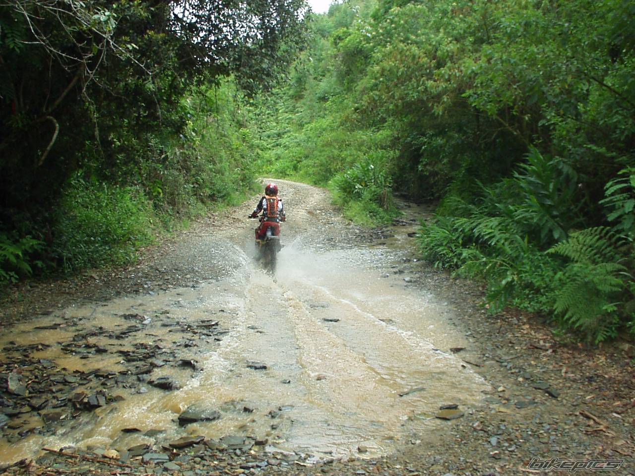 Bike Photo 490193