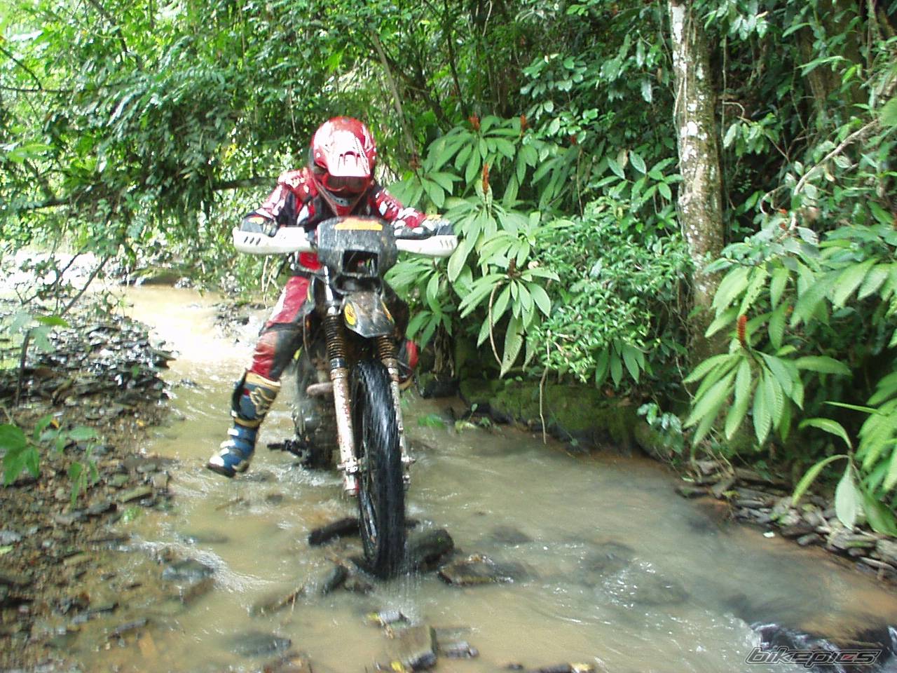 Bike Photo 490195