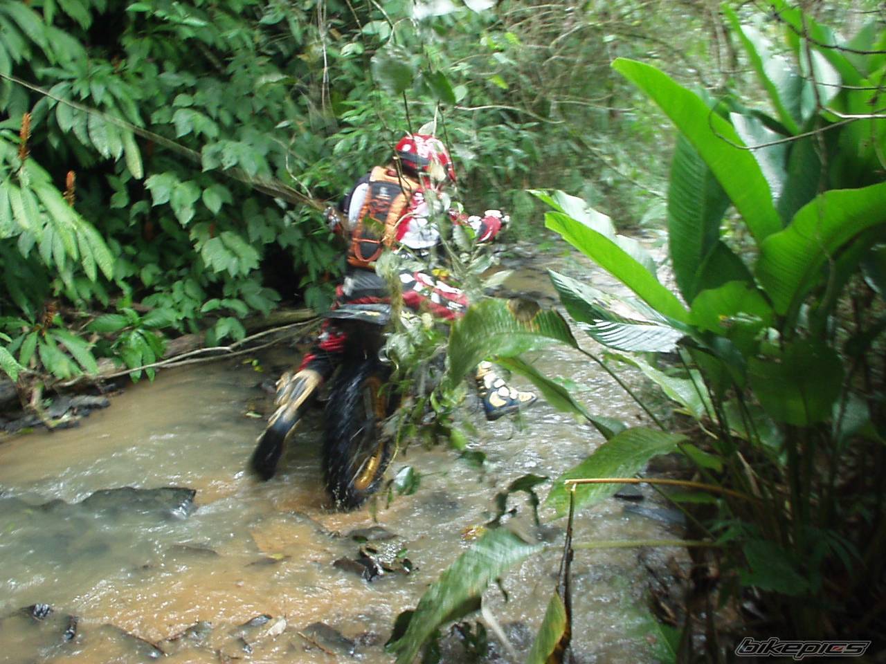 Bike Photo 490200