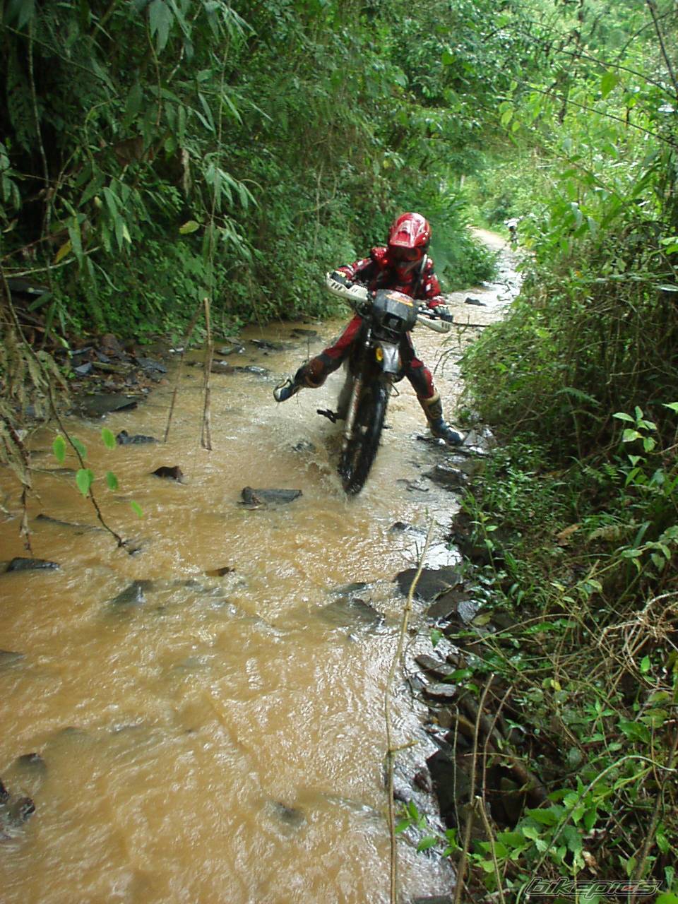 Bike Photo 490201