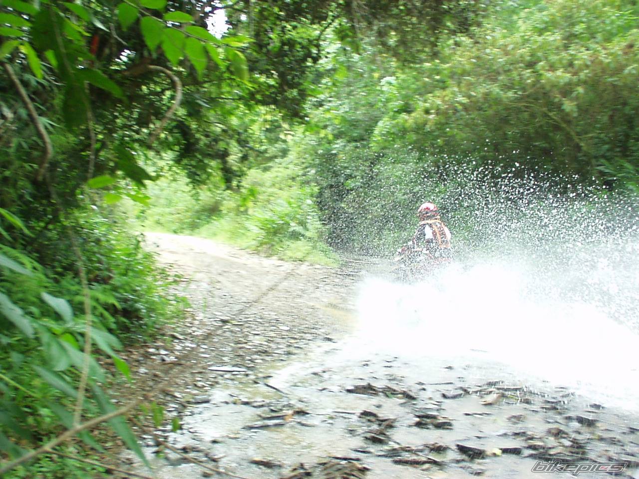 Bike Photo 490205