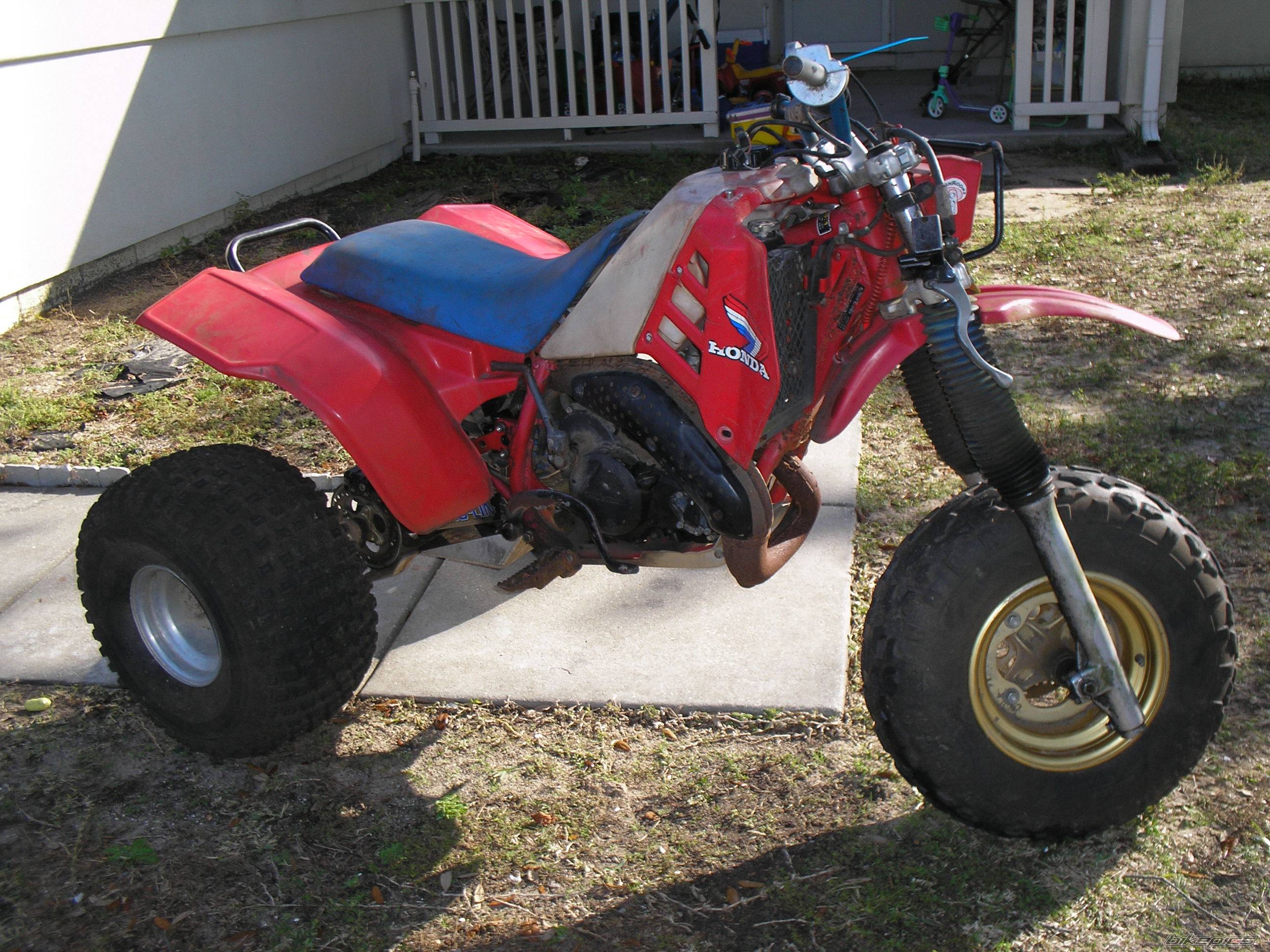 Photo 490319