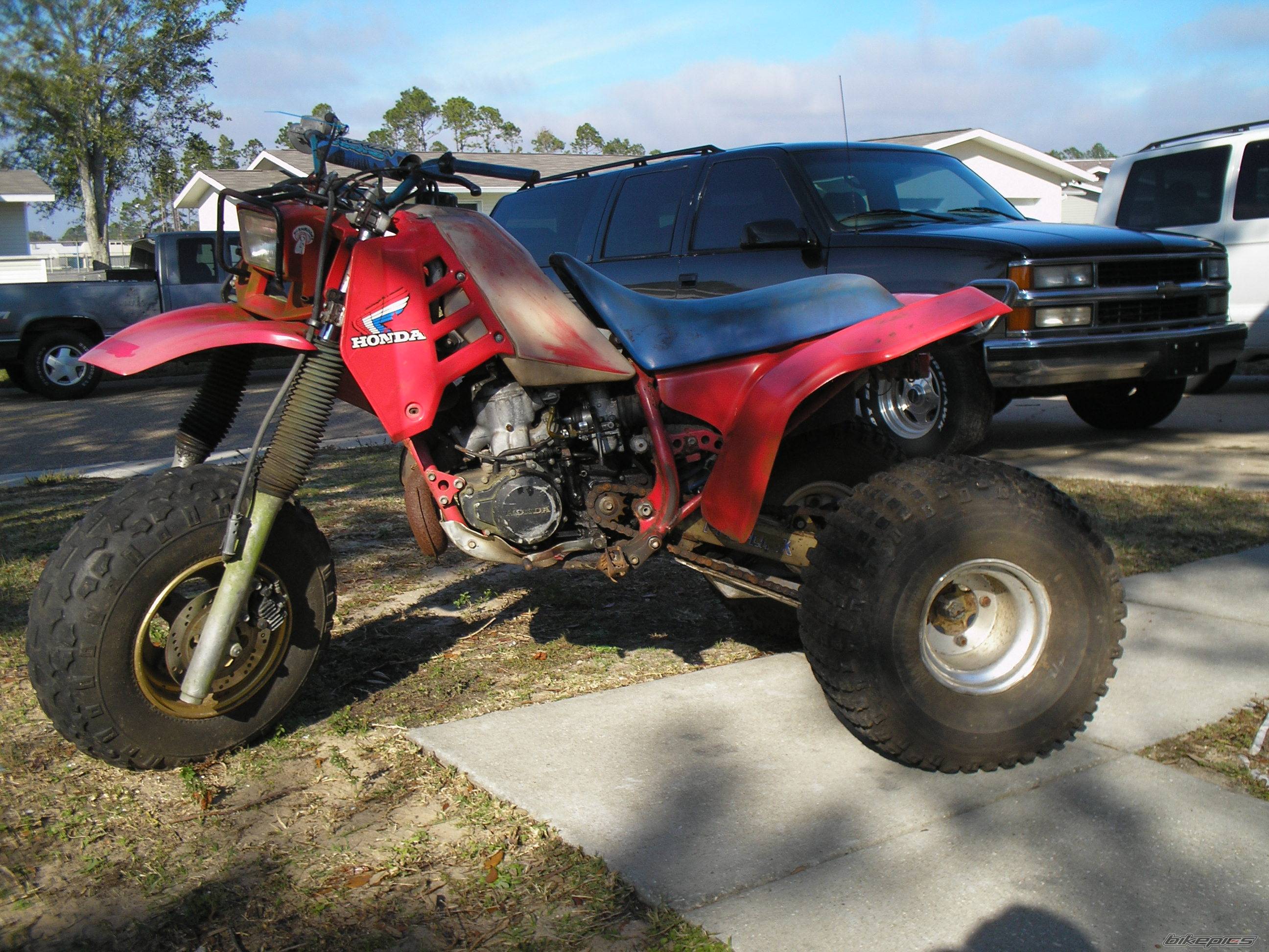 Photo 490320