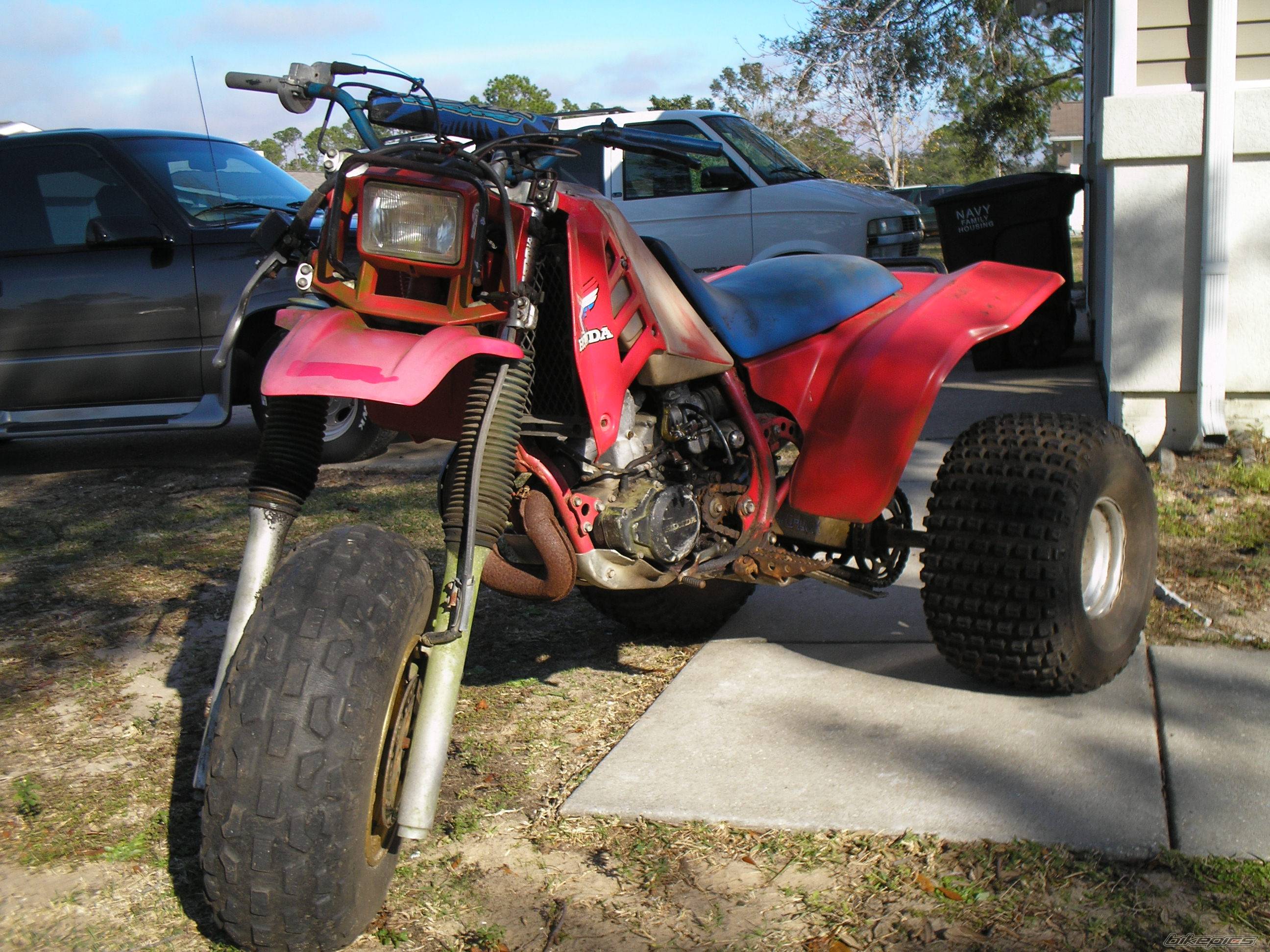 Photo 490321