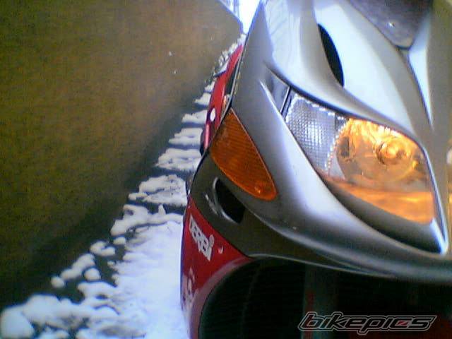 Photo 490439