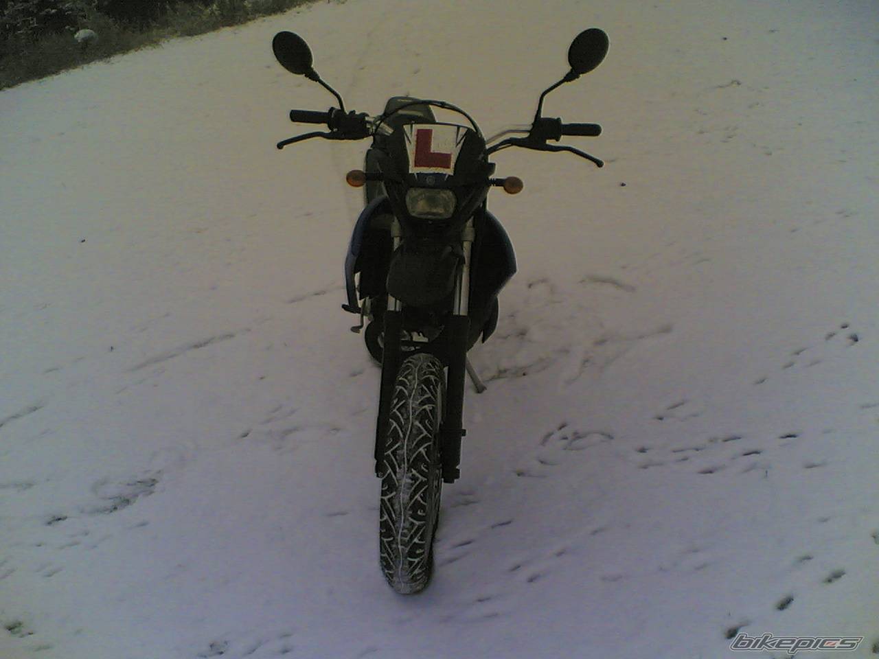 Photo 491185