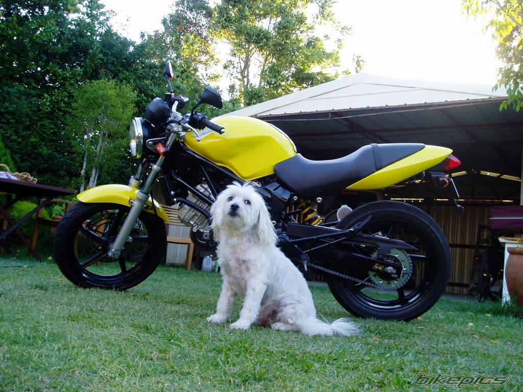 Bike Photo 491272