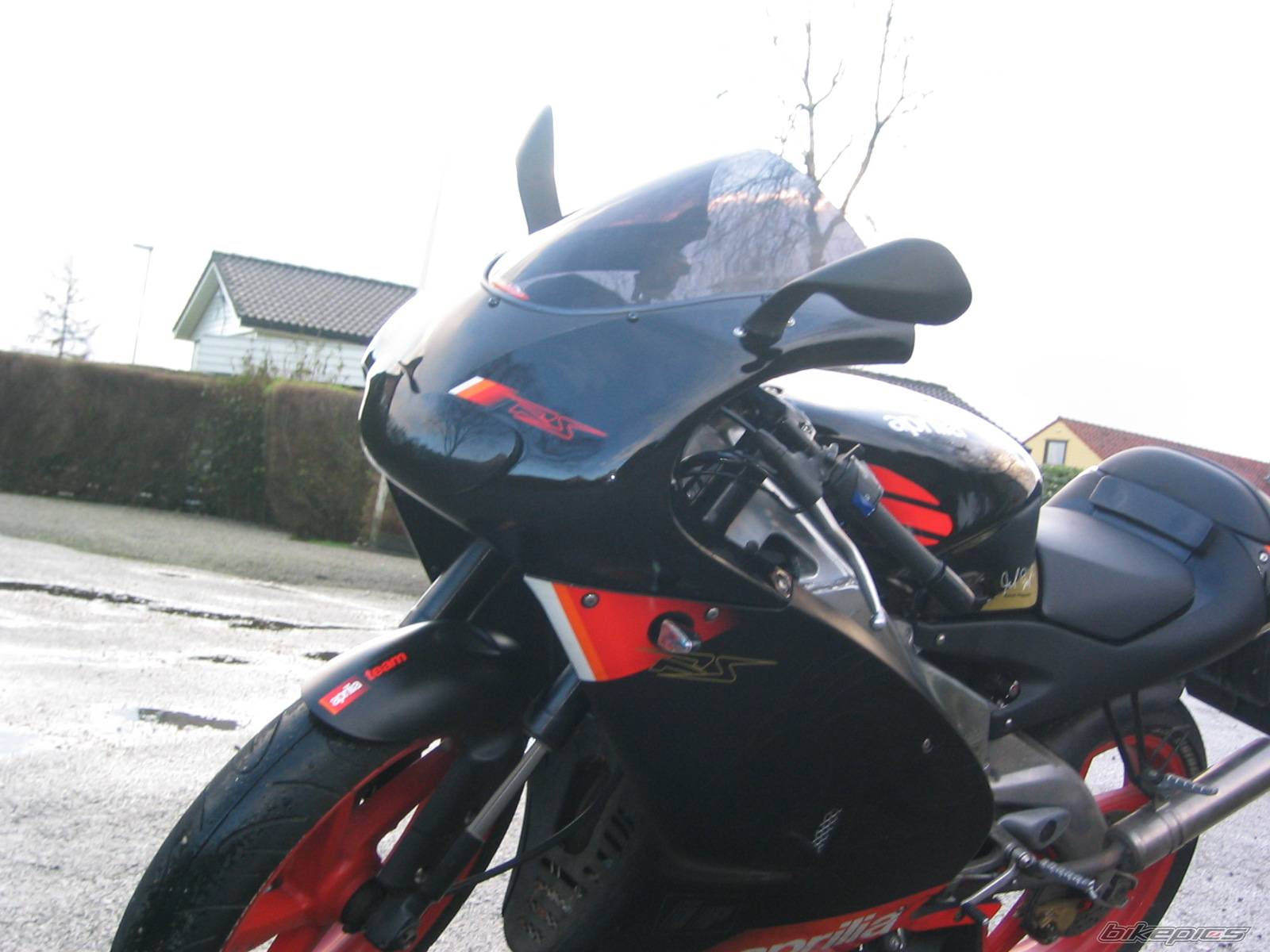 Photo 491281