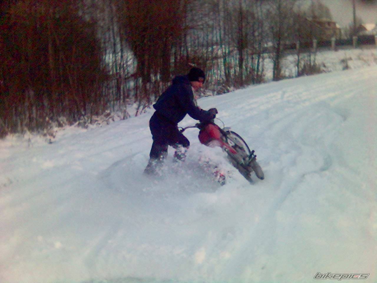 Photo 491410