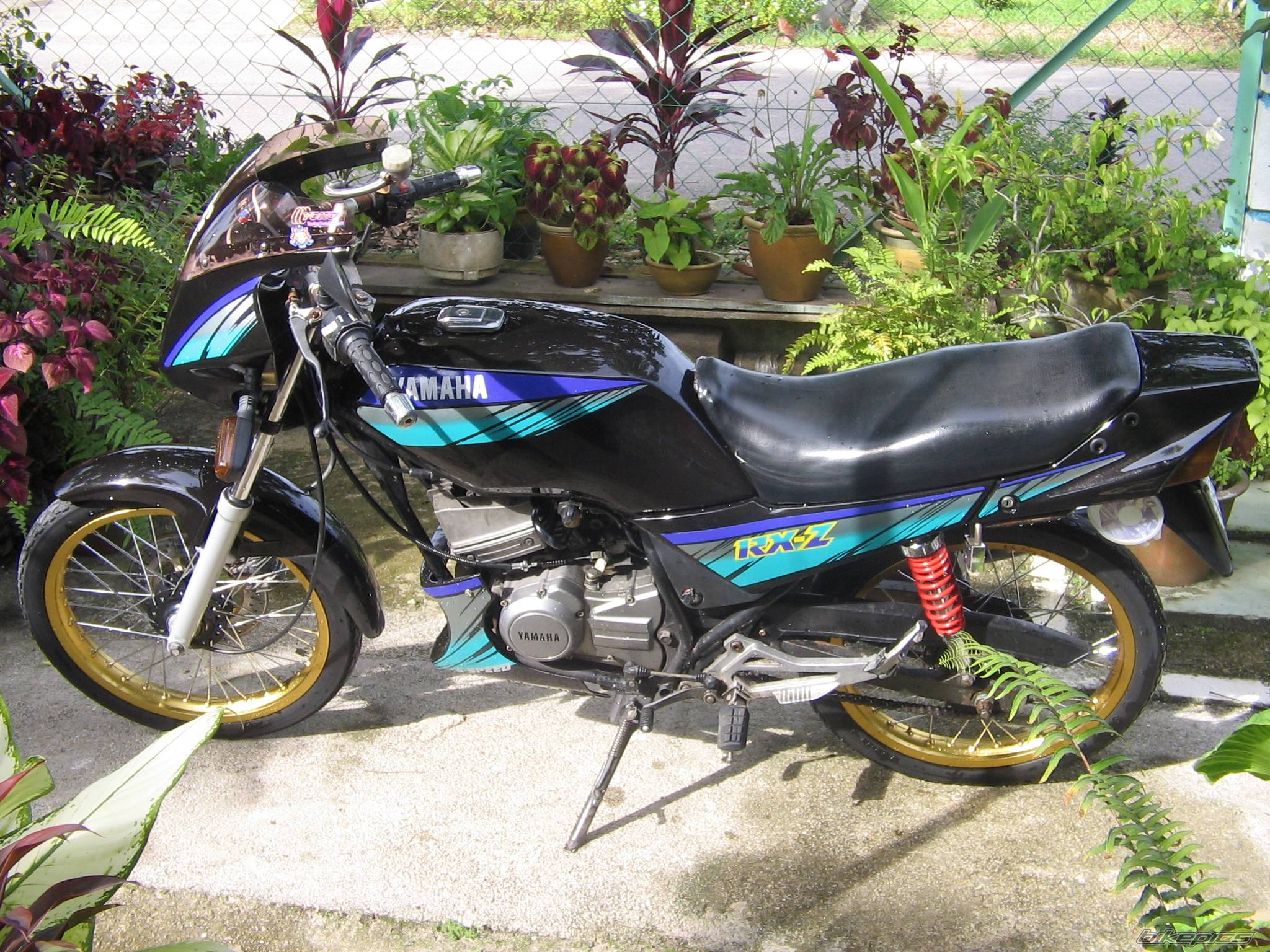 Bike Photo 491423