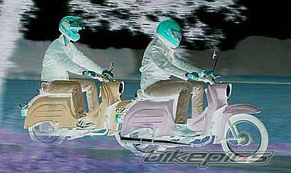 Photo 491533