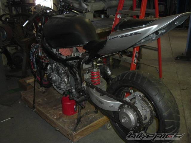Photo 491561