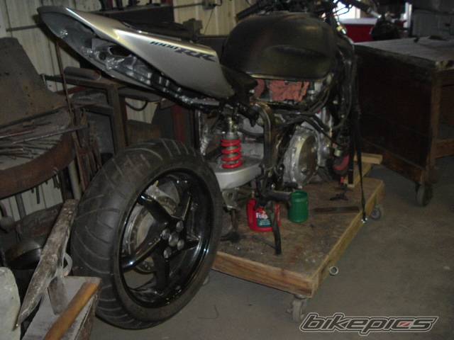 Photo 491579