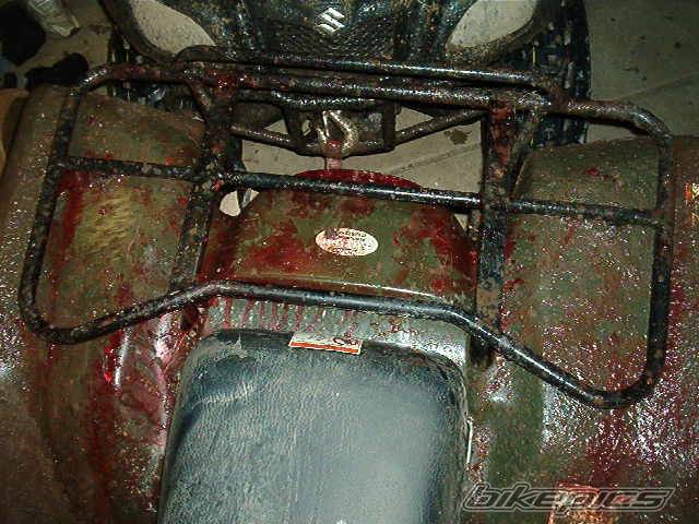 Photo 491589