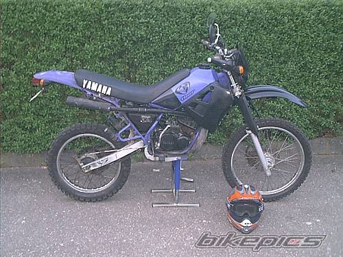 Photo 491748