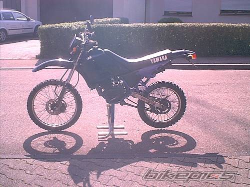 Photo 491752