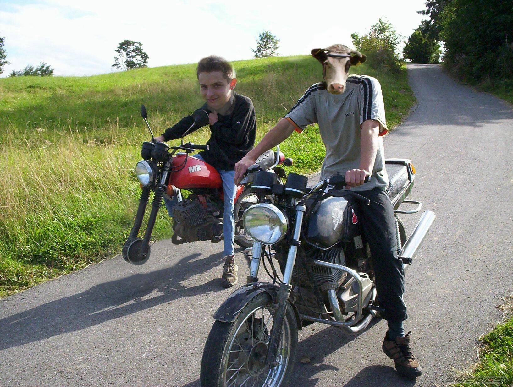 Bike Photo 491758