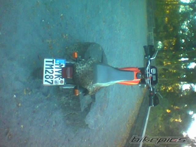 Bike Photo 491784