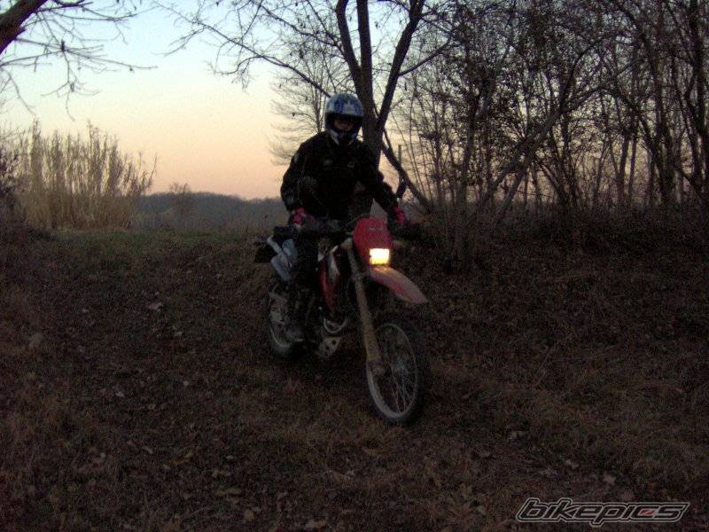 Photo 491813