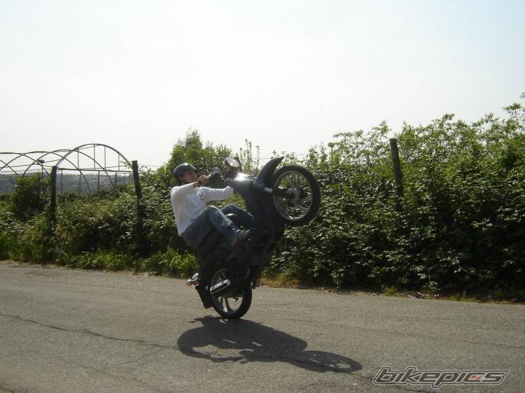 Photo 491853