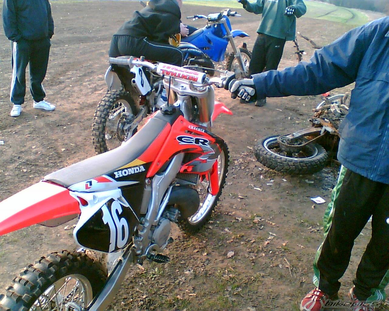 Photo 491891