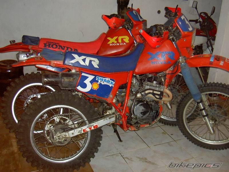 Bike Photo 491983