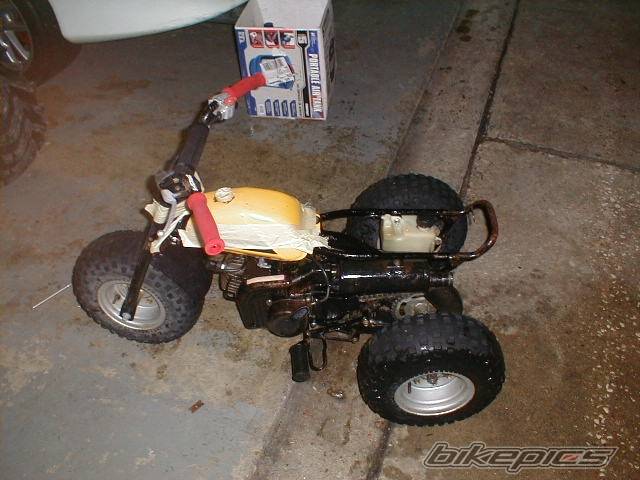 Photo 492089