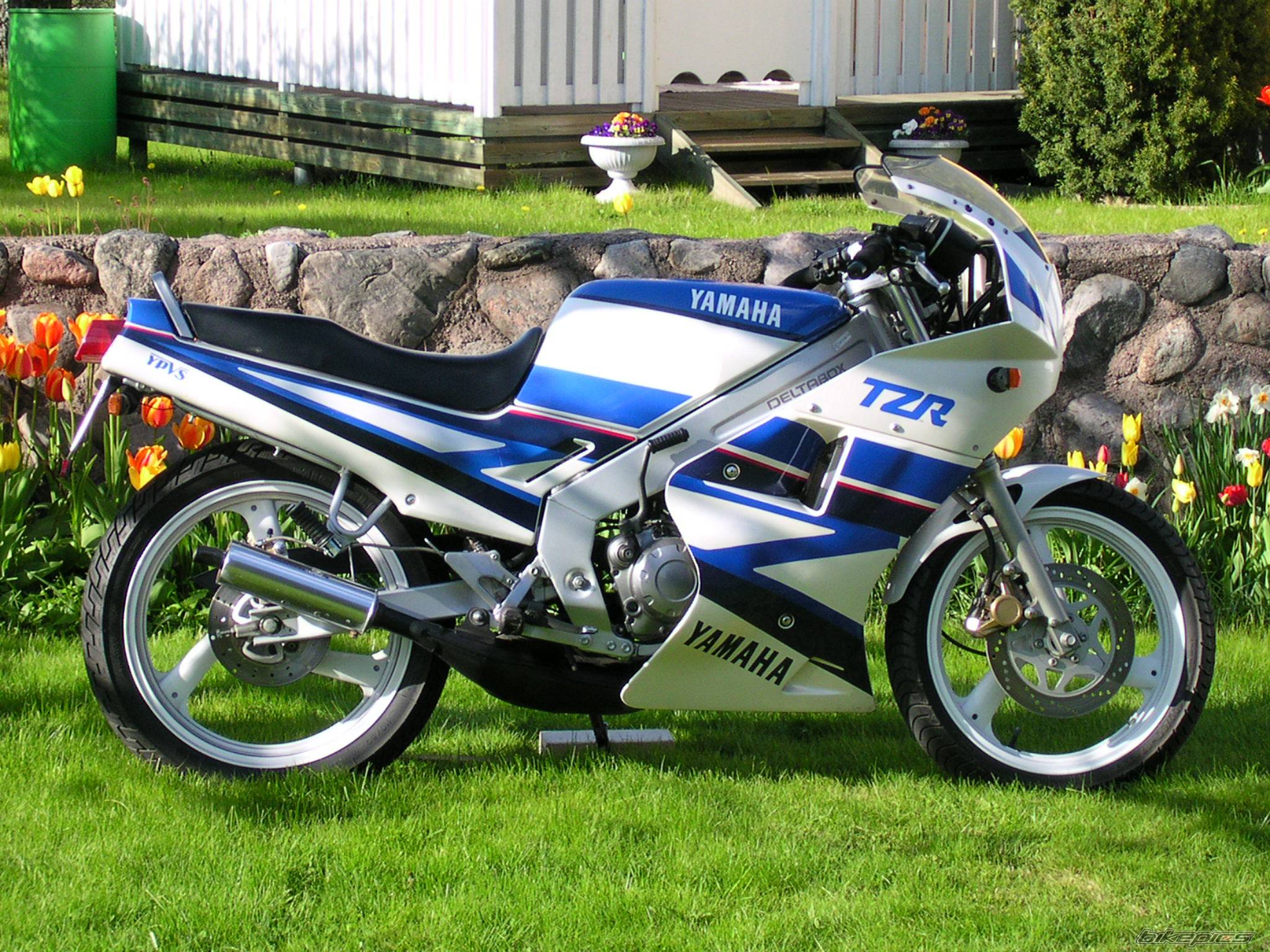 Bike Photo 492130