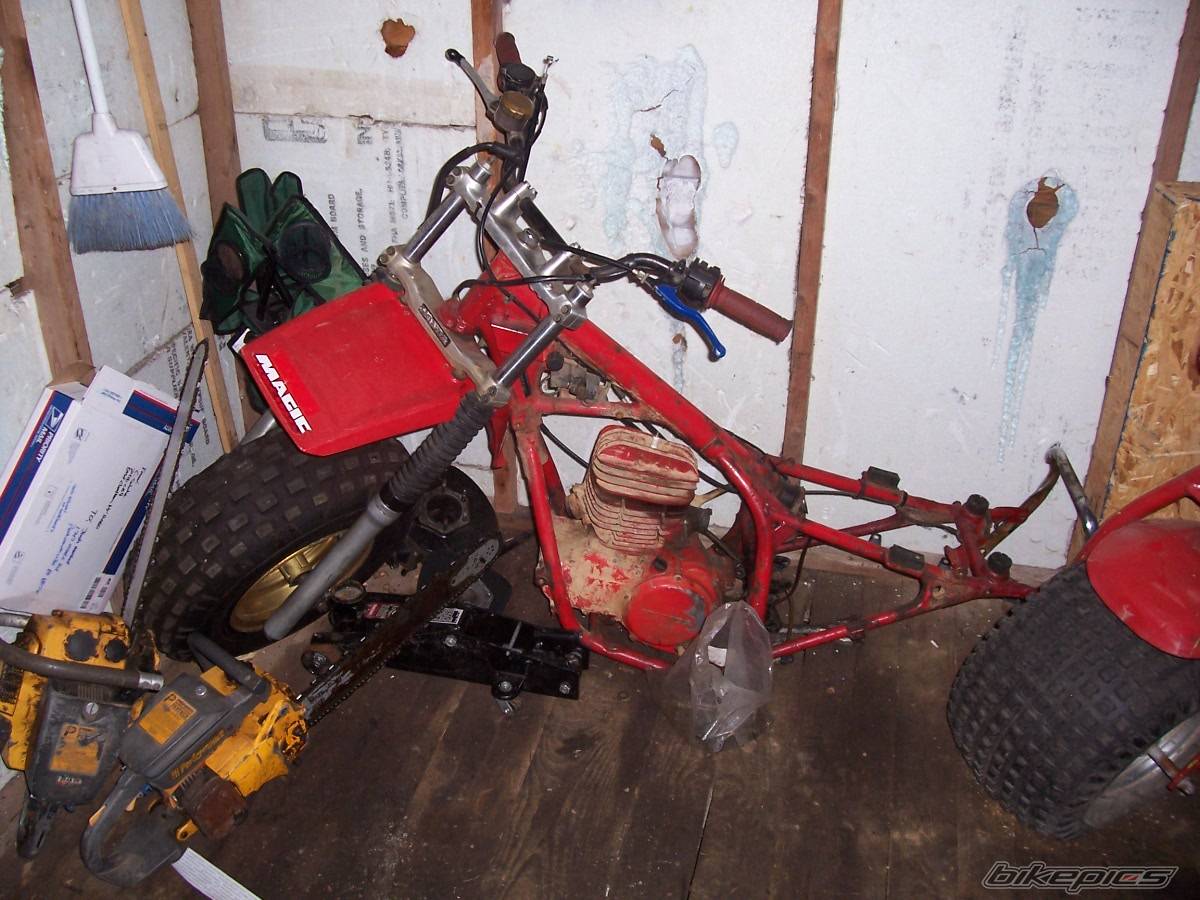 Photo 492320