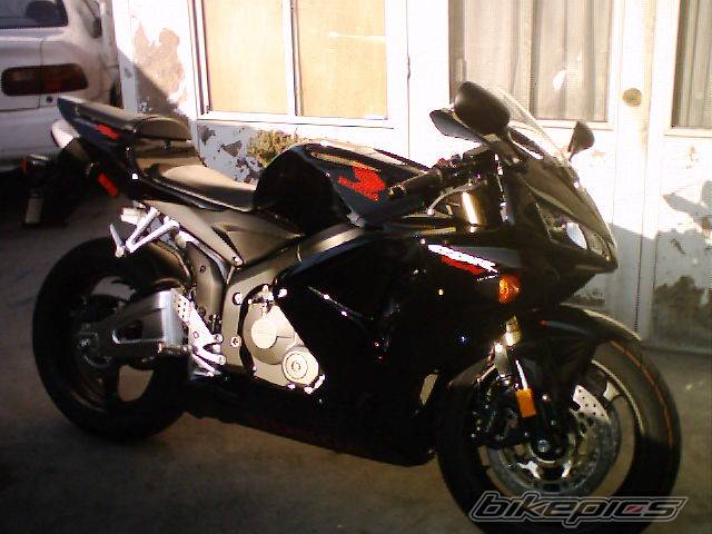 Photo 492388
