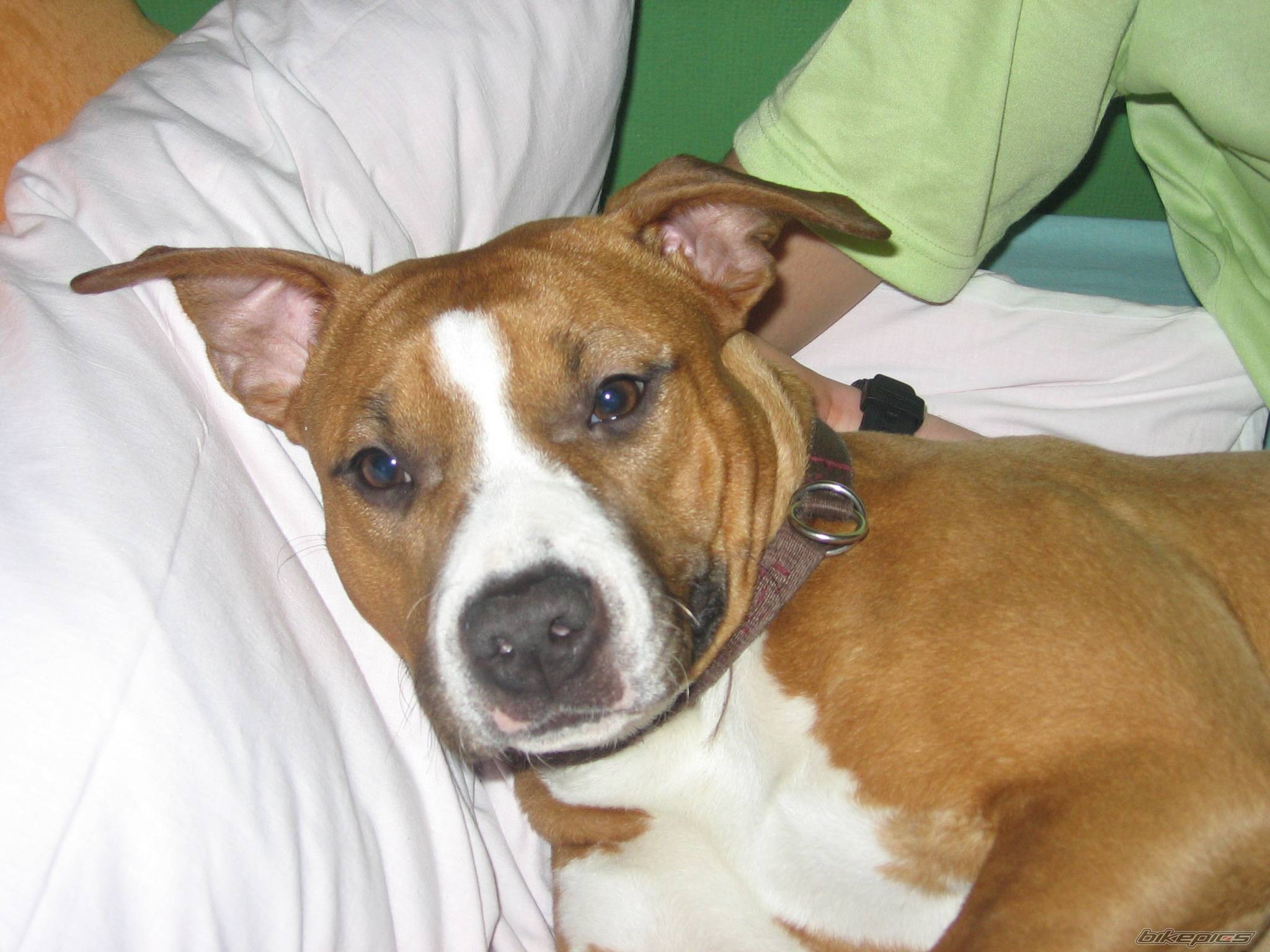 Photo 492393