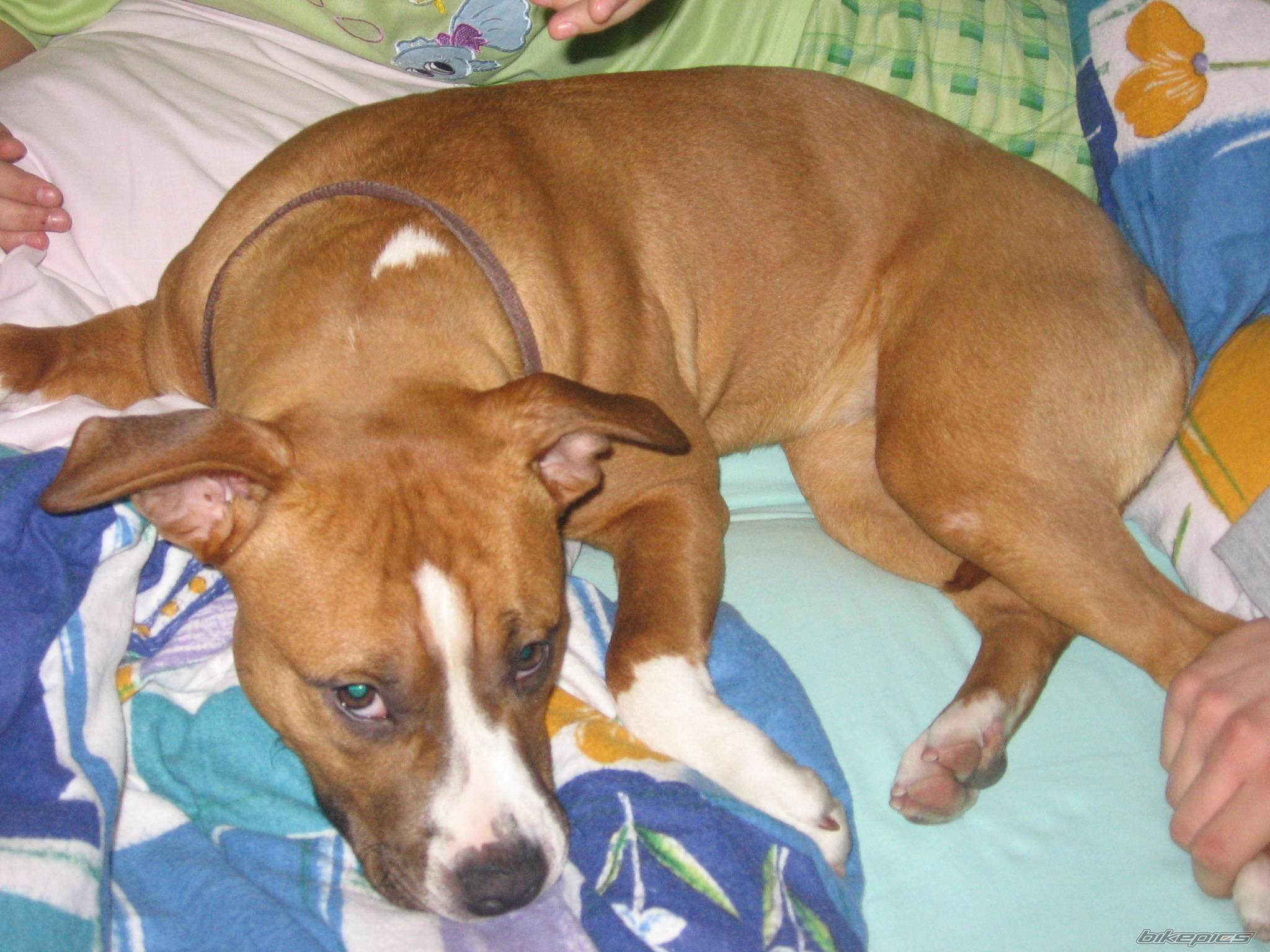 Photo 492394