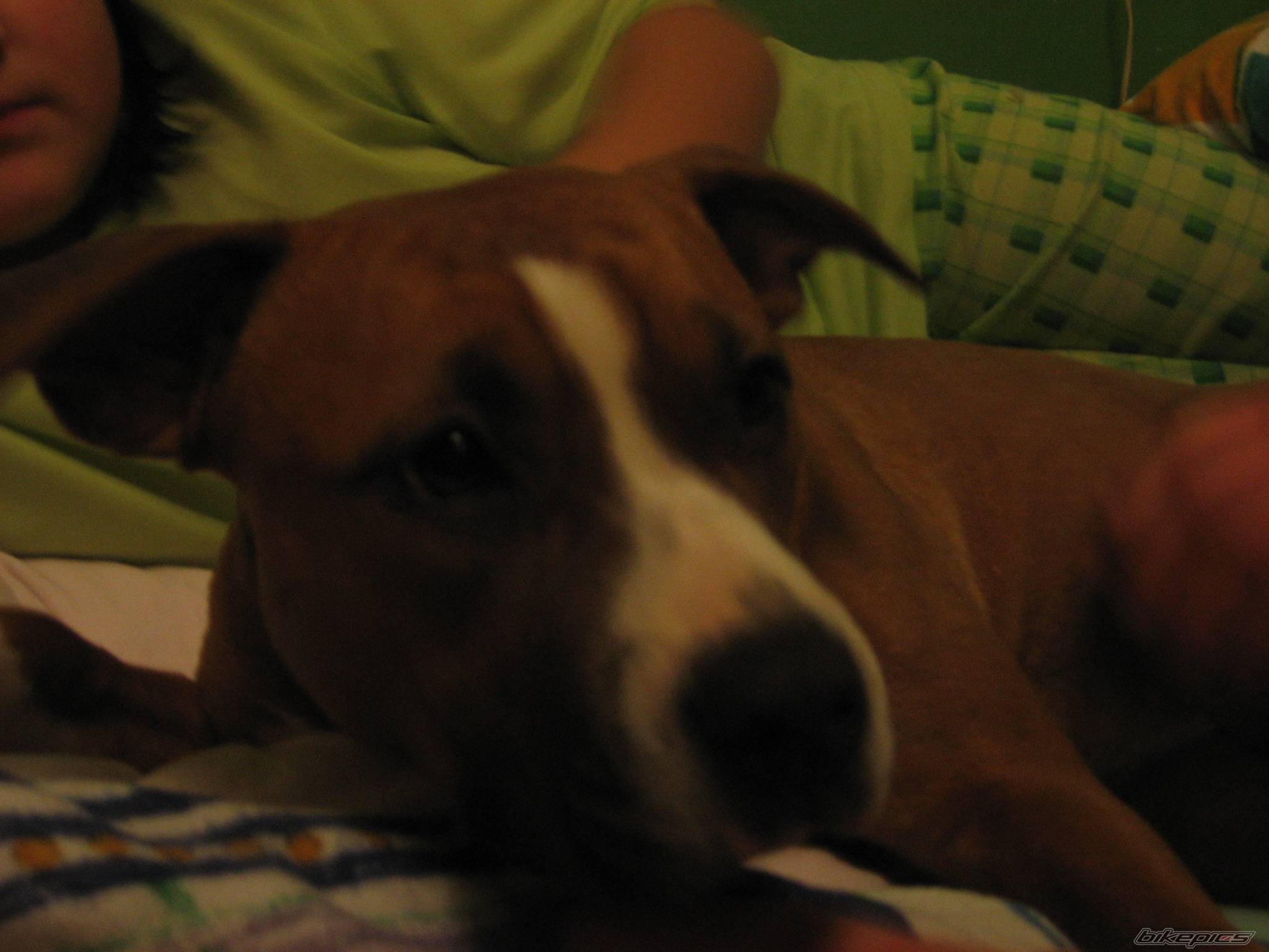 Photo 492395