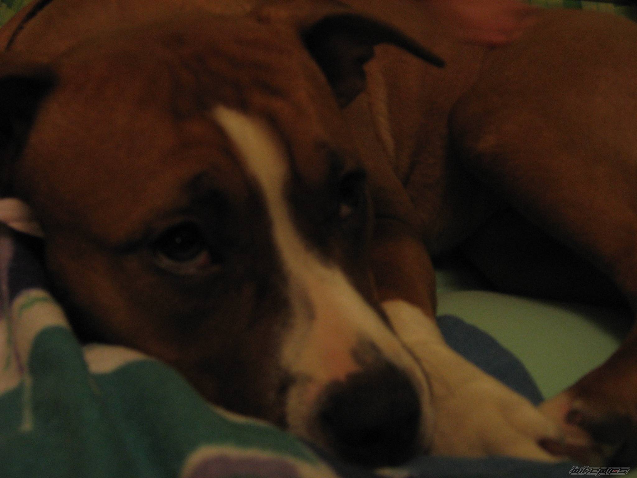 Photo 492396